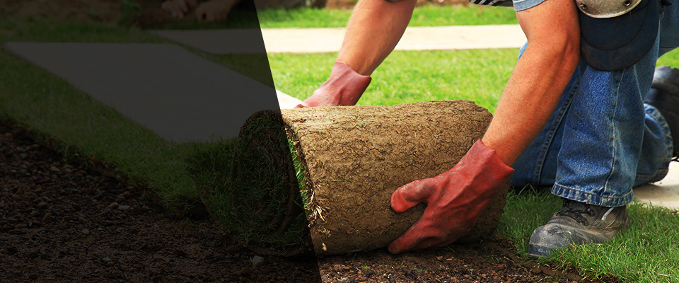 Blountville Landscapers